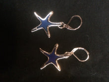 Load image into Gallery viewer, Moody Sea Stars Silver Plated Pewter Leverback Earrings