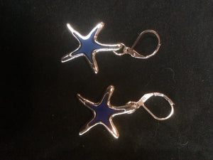 Moody Sea Stars Silver Plated Pewter Leverback Earrings