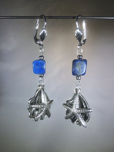 Sea Stars and Oysters with Lapis Earrings