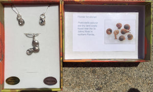 Florida Scrubsnail Fine Silver Pendant