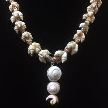 Load image into Gallery viewer, Clustered Snail Shell Necklace