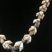 Load image into Gallery viewer, Clustered Snail Shell Necklace