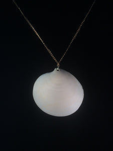 Clam Shell Pendant Necklace Adorned with Pearls