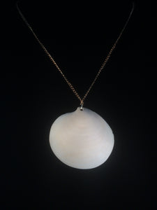 Clam Shell Pendant Necklace Adorned with Pearls