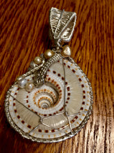 Load image into Gallery viewer, Cone Snail Woven into Fine Silver